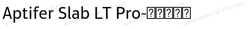 Aptifer Slab LT Pro字体转换